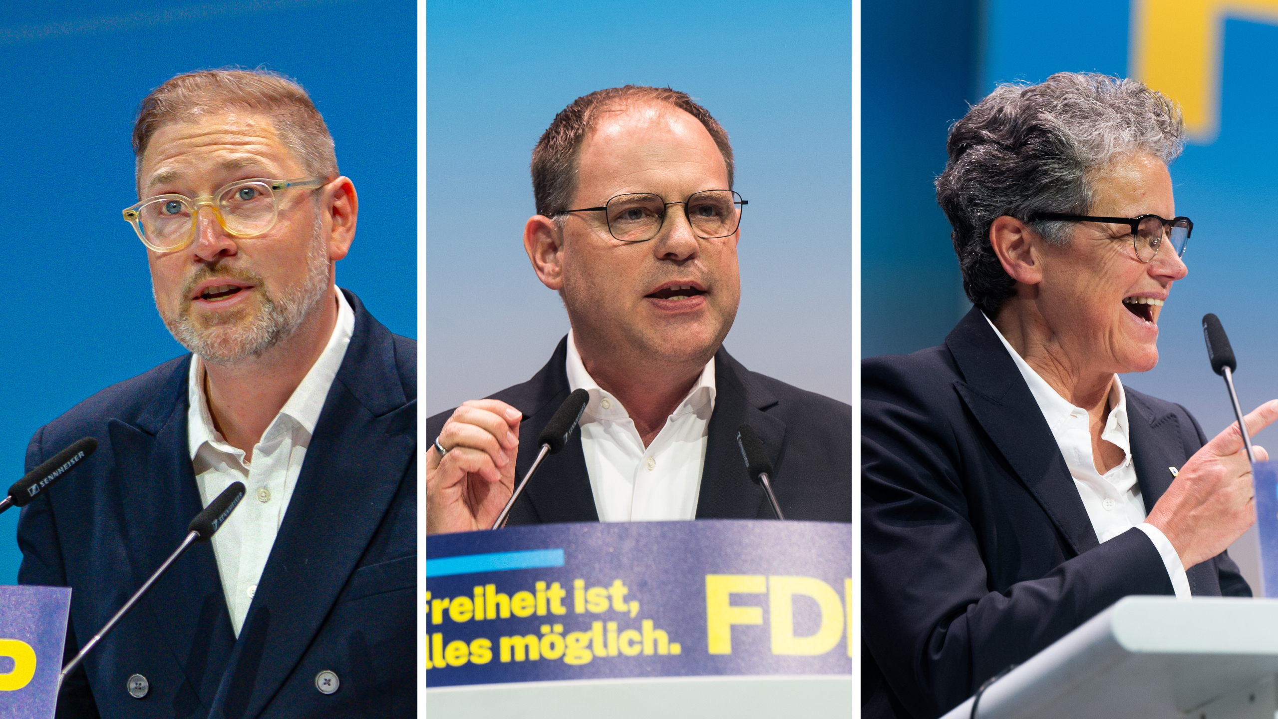Jakob Schirmer, Christoph Meyer, Lydia Hüskens