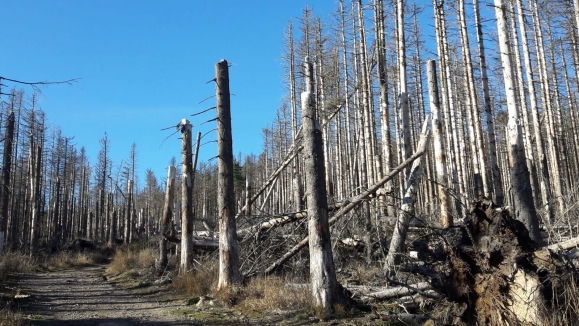 Klimaschutz