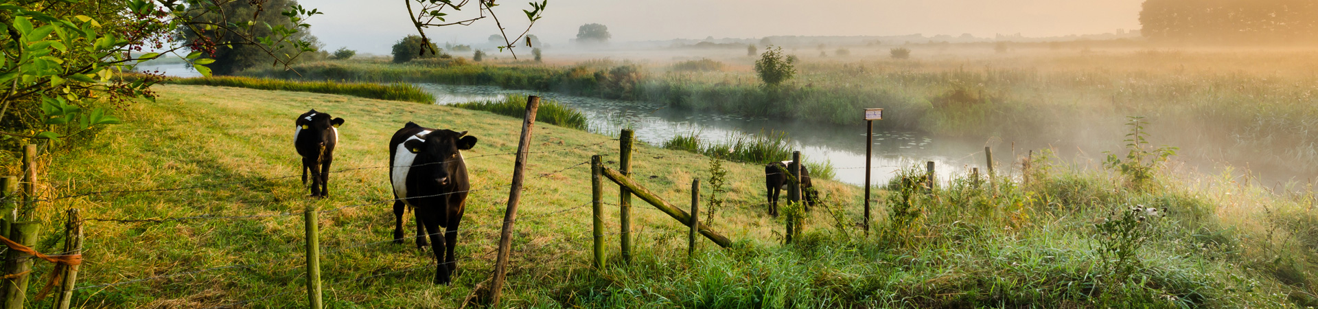 Landwirtschaft, die sich rechnet