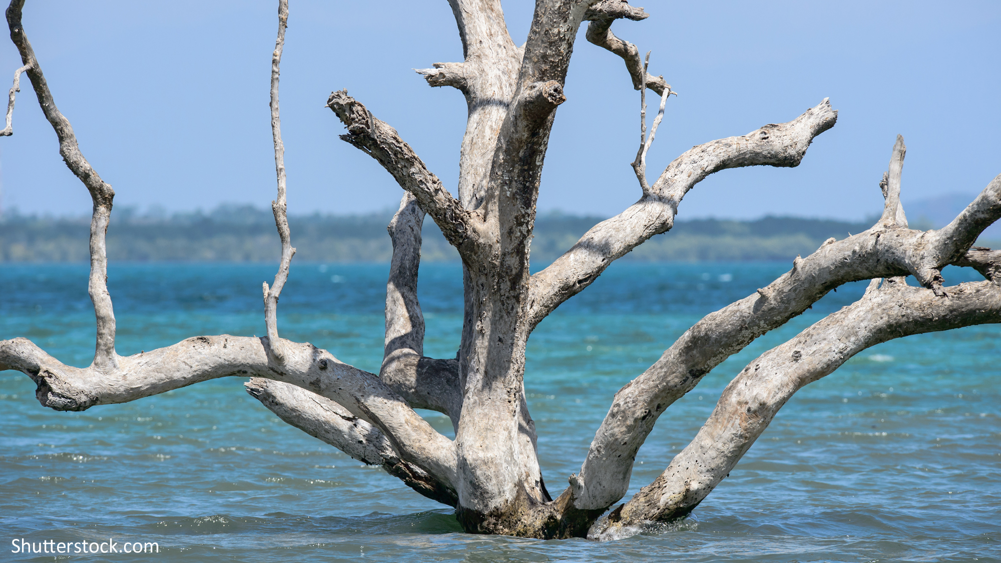 Die Freien Demokraten fordern ein Umdenken in der Klimaschutzpolitik