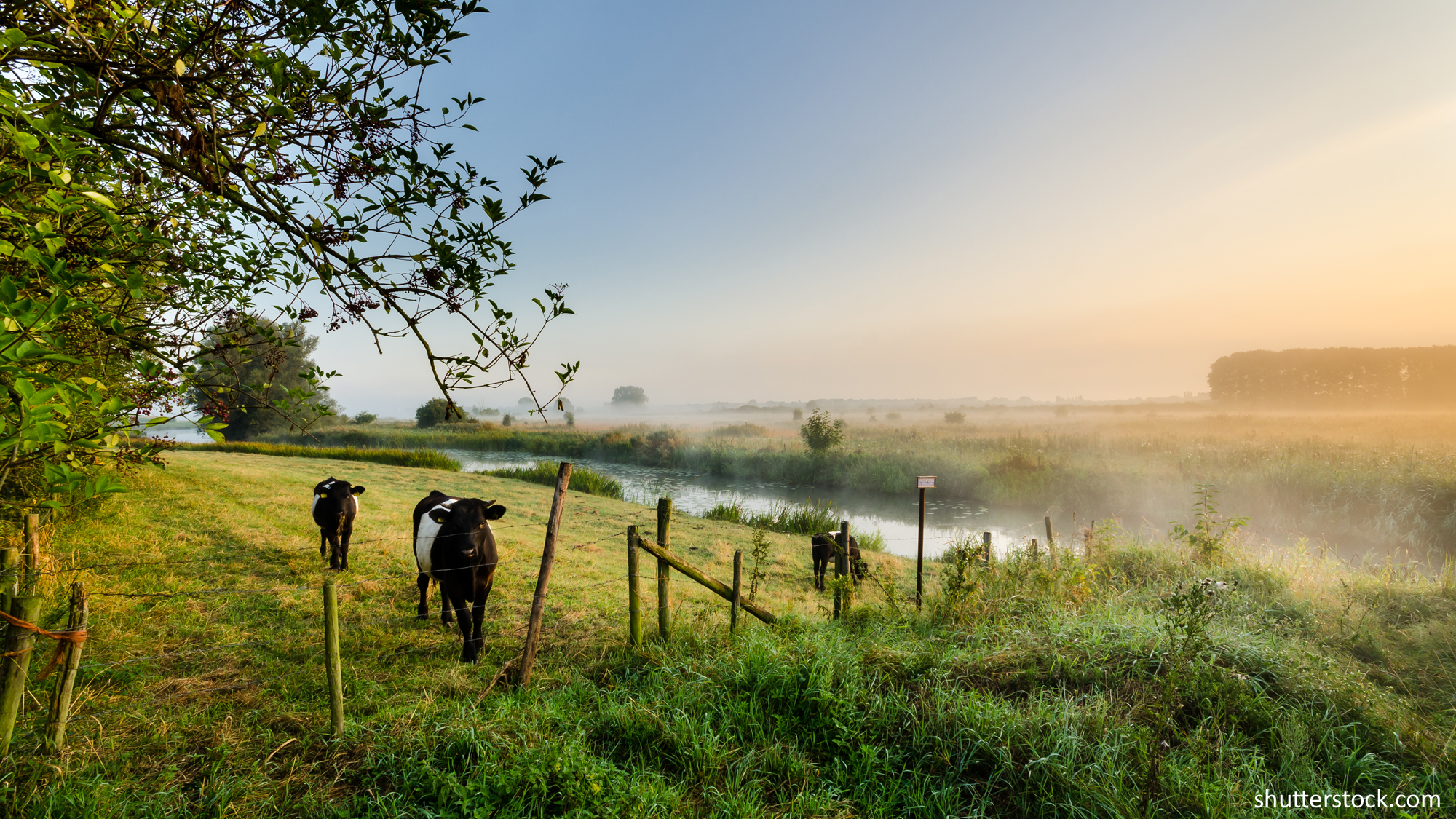 Landwirtschaft