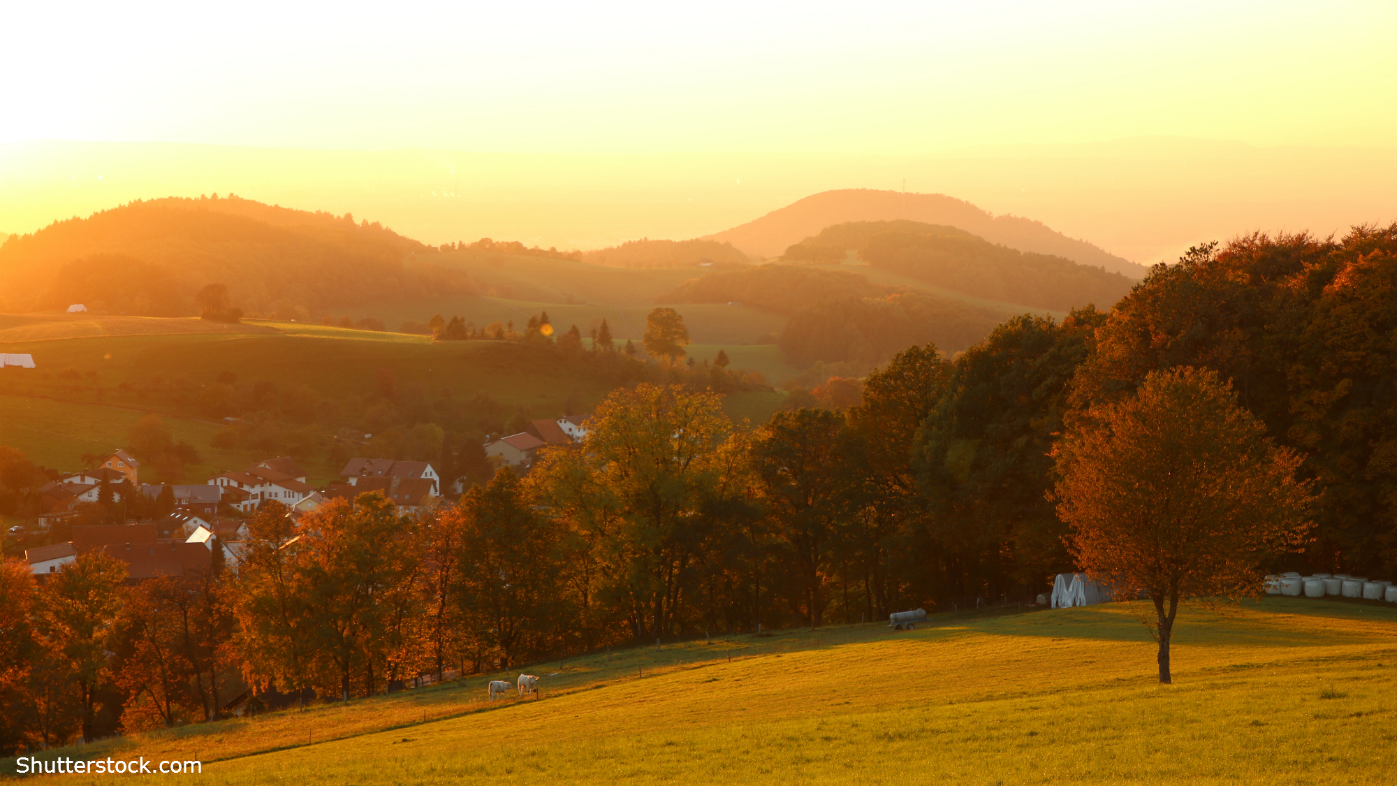 Am 28. Oktober wählt Hessen einen neuen Landtag