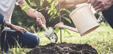 Spenden-helfen-uns-wie-ein-Baum-zu-wachsen