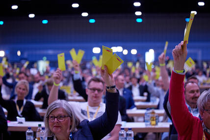 Parteitag der FDP, Delegierte halten Stimmkarten hoch