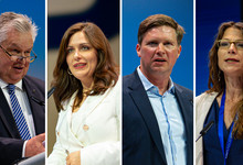Link, Hahn, Toncar, Pfister