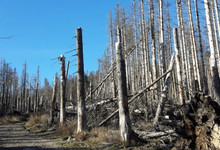 Klimaschutz
