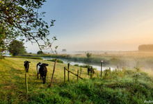 Landwirtschaft