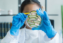 wissenschaft,frau,glas