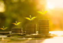 Wirtschaftswachstum, Münzen, Finanzen