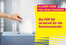 Grafik Kommunalwahlkampf Schleswig-Holstein