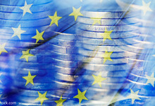 Die Freien Demokraten sehen einen gemeinsamen Eurozonen-Haushalt kritisch