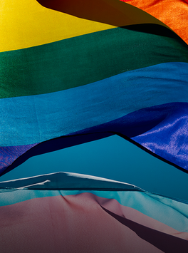 Queer: Pride Flag.