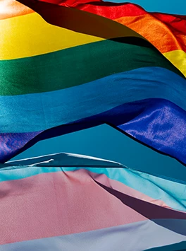 Queer: Regenbogenflagge