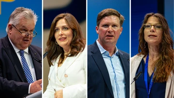 Link, Hahn, Toncar, Pfister